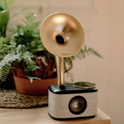 Target Sangean DAB Radio BT lys Grå-gull 340102 -Hus, Hage & Fritid Salg w1200h1178