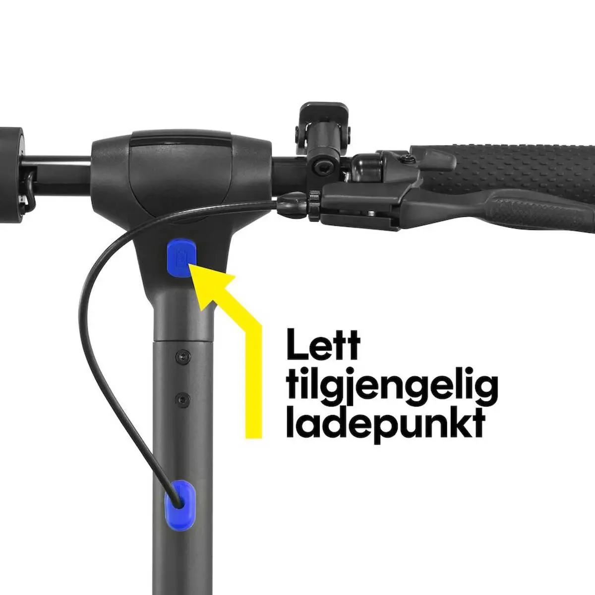 Millarco Cozze El-pizzaovn 13" Med Pizzastein Og Frontdør 230V 2200W 4 Millarco Cozze El-pizzaovn 13" Med Pizzastein Og Frontdør 230V 2200W - Bilde 2