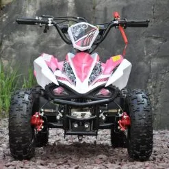 Mini ATV 50cc Pink Edition Two -Hus, Hage & Fritid Salg w1200h796 14