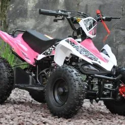 Mini ATV 50cc Pink Edition Two -Hus, Hage & Fritid Salg w1200h796 15