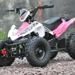 Mini ATV 50cc Pink Edition Two -Hus, Hage & Fritid Salg w1200h796 16