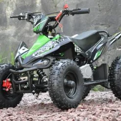 Mini ATV 50cc Green Edition Two -Hus, Hage & Fritid Salg w1200h796 30