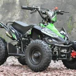 Mini ATV 50cc Green Edition Two -Hus, Hage & Fritid Salg w1200h796 31