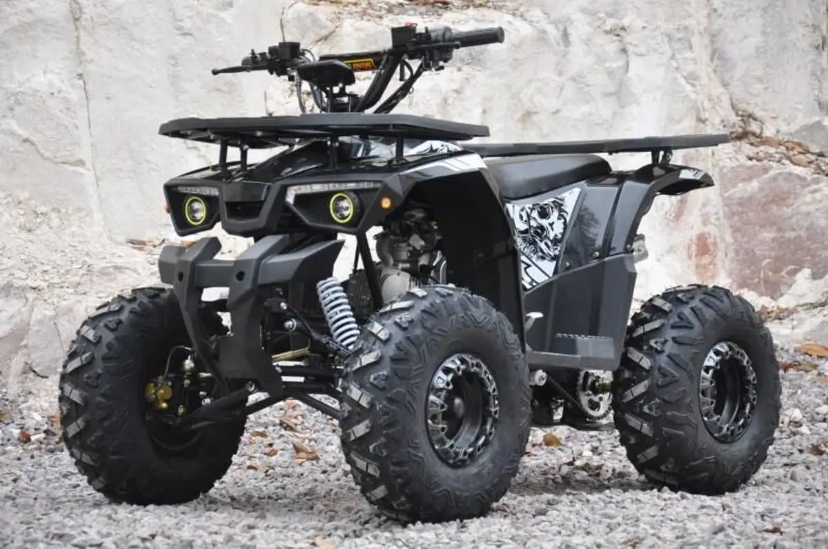 Engrosservice Farmer ATV 125cc Black 3 Engrosservice Farmer ATV 125cc Black