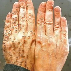 Amplecta Smidge Knott Og Myggmiddel Best I Test -Hus, Hage & Fritid Salg w882h1200