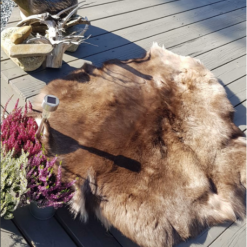 Reinsdyrskinn I Høy Kvalitet Fra Norge 7 Reinsdyrskinn I Høy Kvalitet Fra Norge -Hus, Hage & Fritid Salg w904h1200